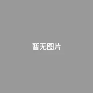 刑事侦缉档案 国语版